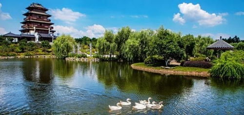 心動(dòng)之旅！僅99元，12月3日韶山、花明樓純玩一日游，開啟紅色文化體驗(yàn)